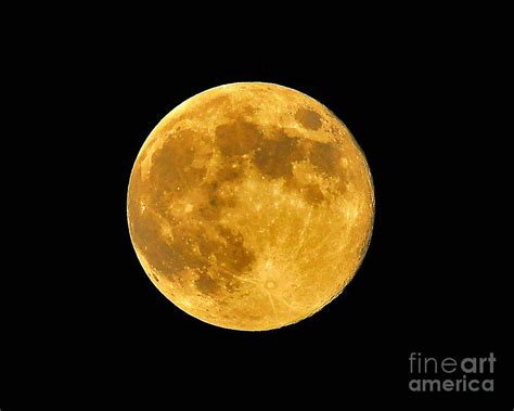 Honey Moon Close Up Photograph By Al Powell Photography Usa Fine Art