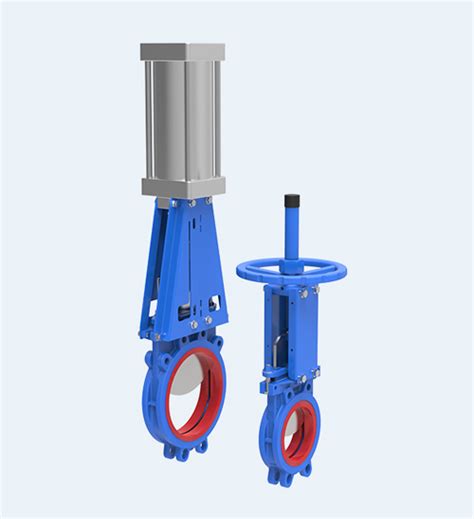 Gate Valve Win Valve