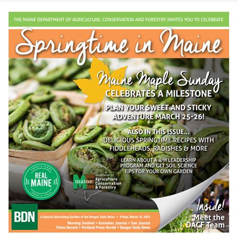 Spring In Maine Publication Real Maine