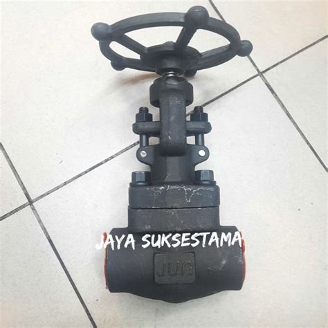 Jual Globe Valve Besi A105 Class 1500 Drat NPT Socket Weld 1 Inch