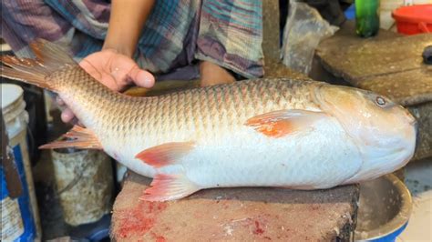 Amazing Rohu Fish Cutting Skinning Skills In Dhaka Fish Market Youtube