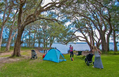 White Tree Bay campground and picnic area | NSW National Parks