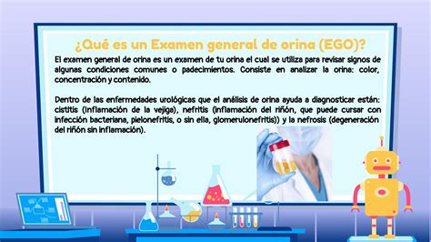 SOLUTION La Importancia De Las Reacciones Inmunol Gicas A Trav S Del M