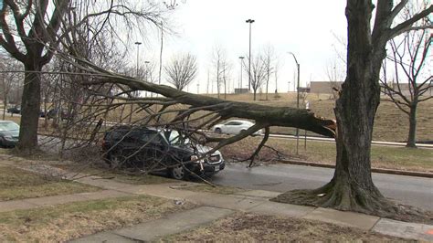 Strong Winds Knock Down Trees Power Lines