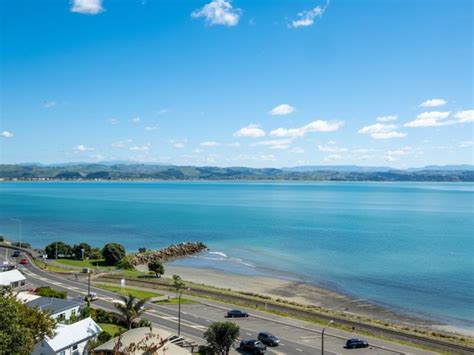 Luxury Houses With Elevator For Sale In Bluff Hill Napier Hawke S Bay