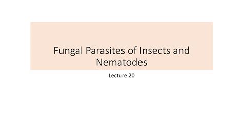 Pdf Fungal Parasites Of Insects And Nematodes · Nematodes Lecture 20 Introduction •fungi