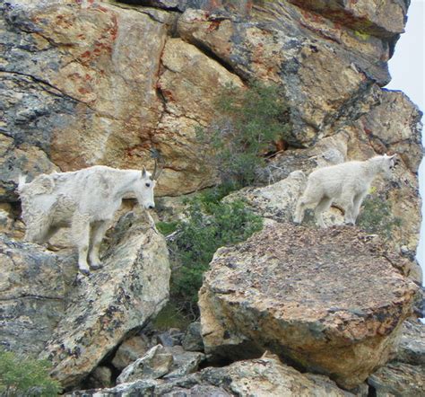 Outdoor Activities in Elko, Nevada | Hiking, Biking & Offroading