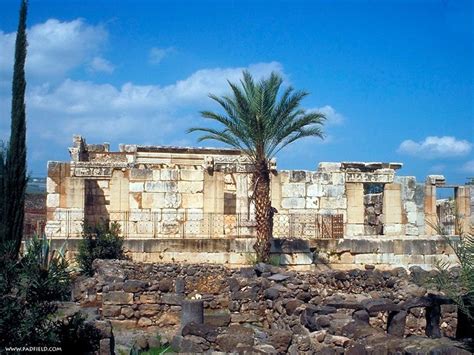 Capernaum | Capernaum, Synagogue, Israel tours