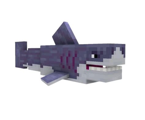 Great White Shark Minecraft Mobs Wiki Fandom