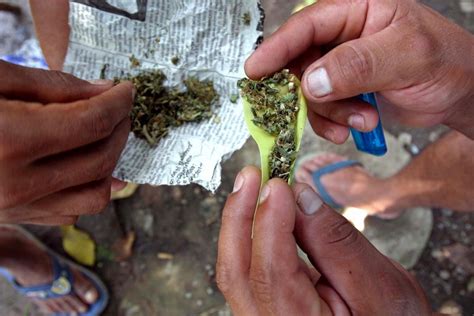 Guerra Contra Las Drogas Y LegalizaciÓn No Es ElecciÓn Jife Origen Noticias