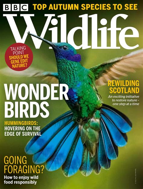 Bbc Wildlife Magazine Sep 21 Subscriptions Pocketmags