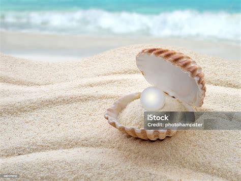 Shell Dengan Mutiara Di Pantai Foto Stok Unduh Gambar Sekarang