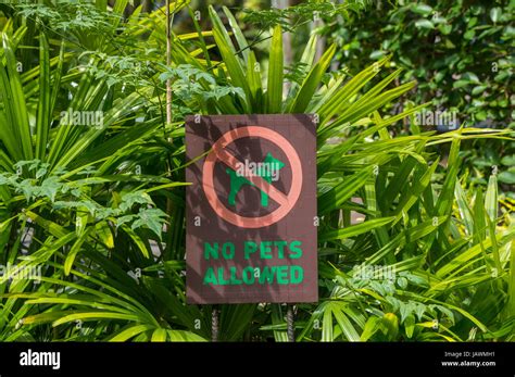 Haustiere Erlaubt Fotos Und Bildmaterial In Hoher Aufl Sung Alamy