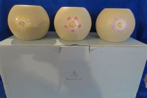 Partylite P9278 Springtime Garden Globes EBay