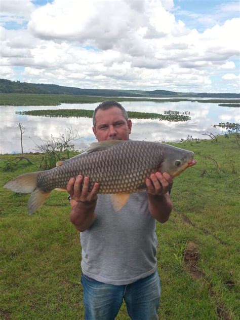 Pescador Fisga Esp Cie Rara No Rio Sucuri Hojemais De Tr S Lagoas Ms