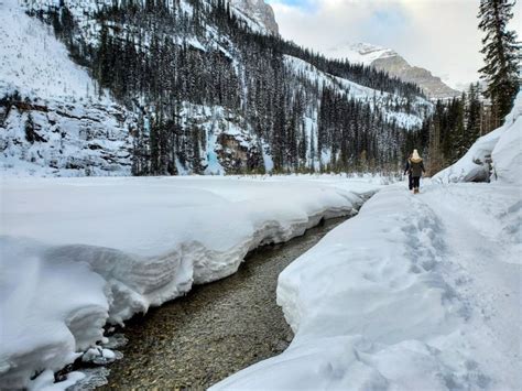 The Perfect Five Day Banff Winter Itinerary Travanie Travels