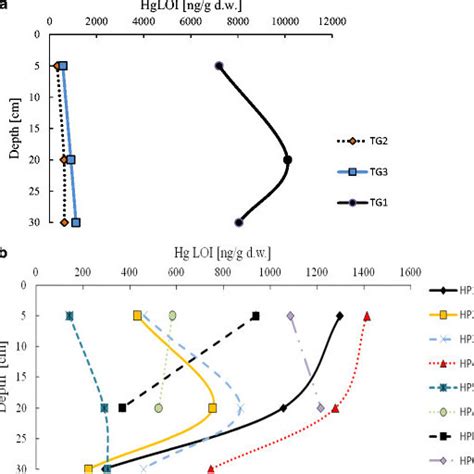 Concentration Of Hg [μg G D W ] And Concentration Of Hg Normalized On Download Scientific