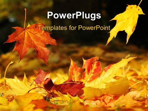 PowerPoint Template: a number of leaves in the fall season (2408)