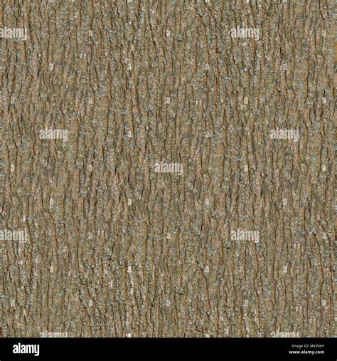 Wooden Bark Seamless Tileable Texture Stock Photo Alamy