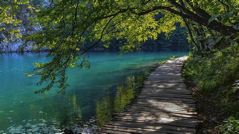 Wooden Riverwalk In Croatia River Walkway Trees Wooden Hd