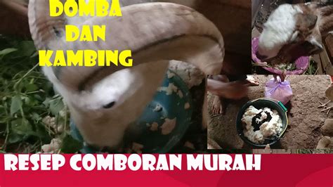 Resep Comboran Kambing Dan Domba Murah Meriah Ala Orang Desa Youtube