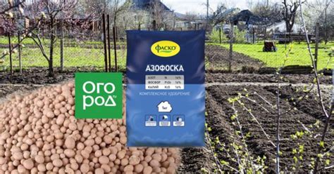 Азофоска – инструкция по применению, действие удобрения. Меры ...