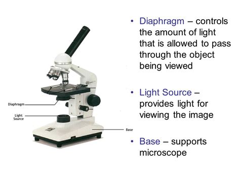 Microscope Diaphragm Function