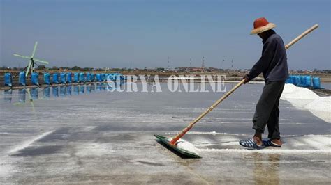 Tak Laku Dijual Ribu Ton Garam Petani Mangkrak Di Gudang Surya Co Id