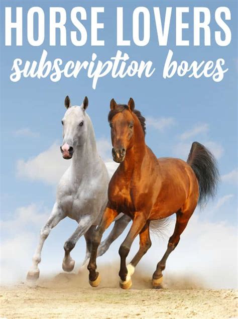 7 Horse Lovers Subscription Boxes - Simply Stacie