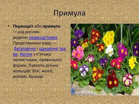 Перші весняні квіти - online presentation