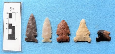 Lookingbill Projectile Point Types