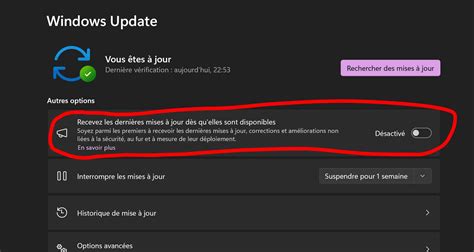 Windows Update ne vous propose pas Windows 11 23H2 Vous nêtes pas