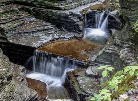 watkins glen rnatureporn