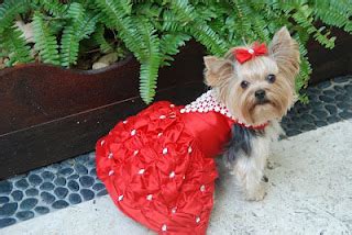 Huellitas Moda Latina Canina Vestidos Elegantes Para Perritas