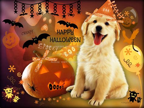 Happy Halloween Dogs Wallpapers Wallpaper Cave