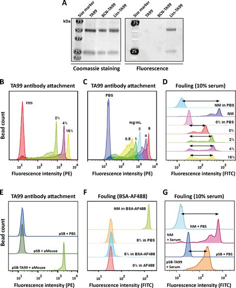 Highly Specific Protein Identification By Immunoprecipitationmass Spectrometry Using