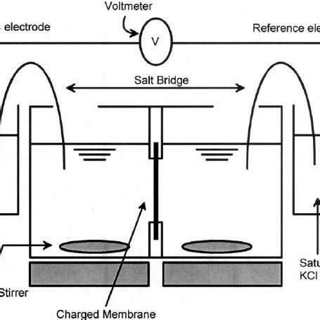 Schematic Diagram Of Apparatus For The Membrane Potential Measurements