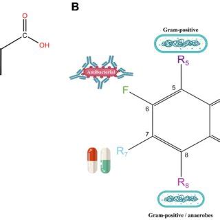 Core structure of quinolone antibiotics. (A) Six important modification... | Download Scientific ...