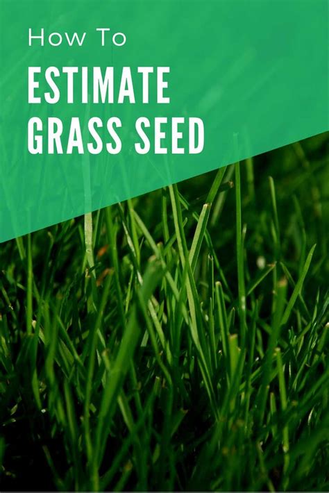 Grass Seed Calculator