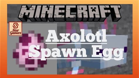 Axolotl Spawn Egg In Minecraft For Basic Learners Youtube