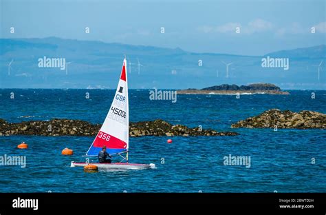 Boy In Sailing Dinghy On Sunny Day In Firth Of Forth North Berwick