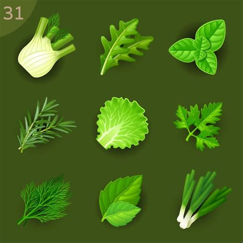 Premium Vector Food Ingredientsvector Icon Set 31 Greens