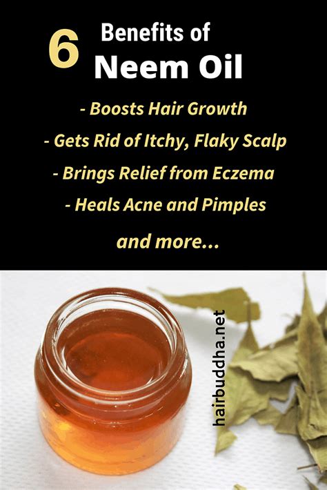 How To Use Neem Oil For Dandruff Eczema And Hair Growth Hair Buddha