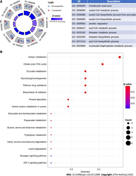 Comprehensive Analysis Of The Relationship Between Cuproptosis Related