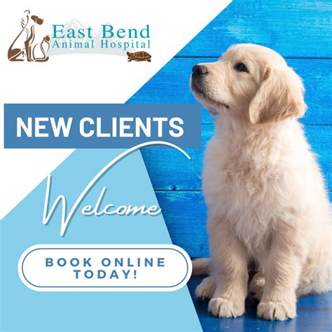 Best Animal Hospital In Bend Or 97701 East Bend Animal Hospital