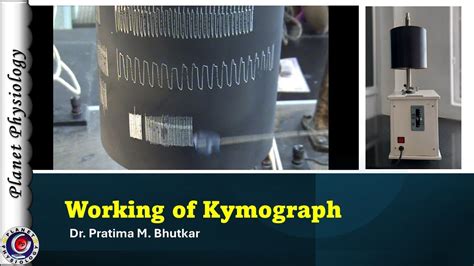 Working Of Sherrington Starling Drum Kymograph Effect Of Speed On