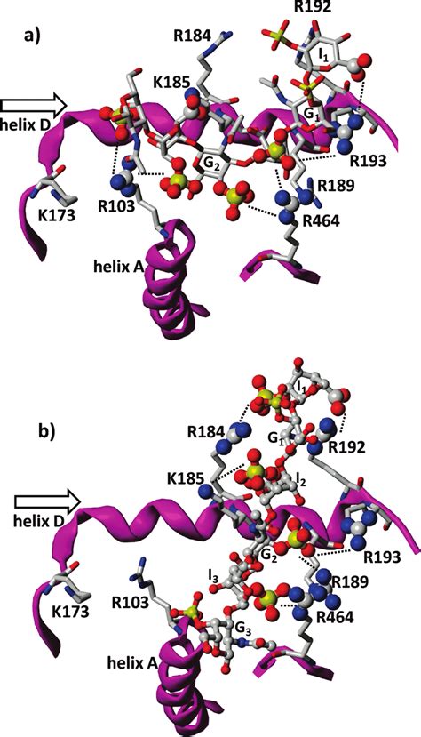 Putative Binding Modes Of Two D Topologies With Hcii Helices D And A