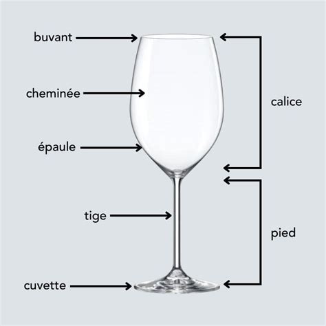 Verres à vin guide des meilleurs verres pour votre dégustation