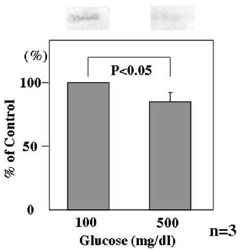 Psf Contents In Thp Derived Macrophage Like Cells Cultured With