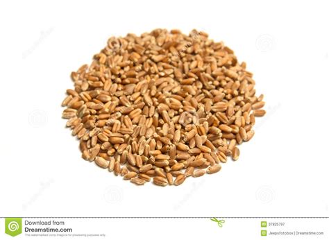 Grass Seeds With Wild Flowers Royalty Free Stock Photography